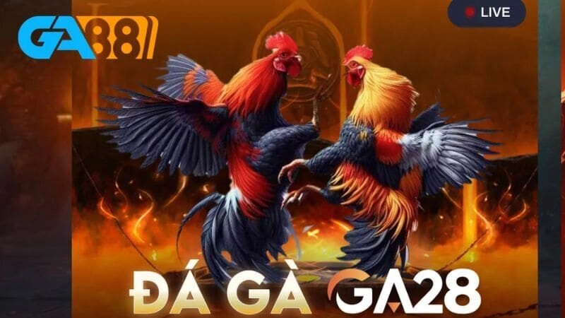 Hướng Dẫn Cách Tham Gia Sảnh GA28