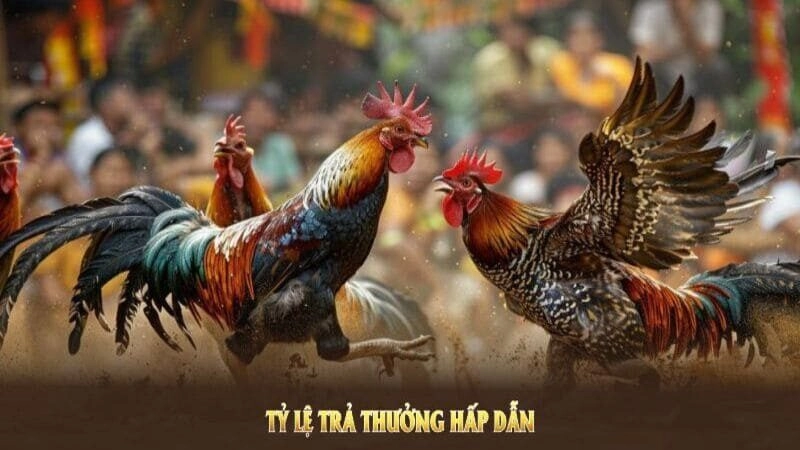 Đá Gà Techplay sảnh cá cược trực tuyến phát triển mạnh mẽ nhất hiện nay