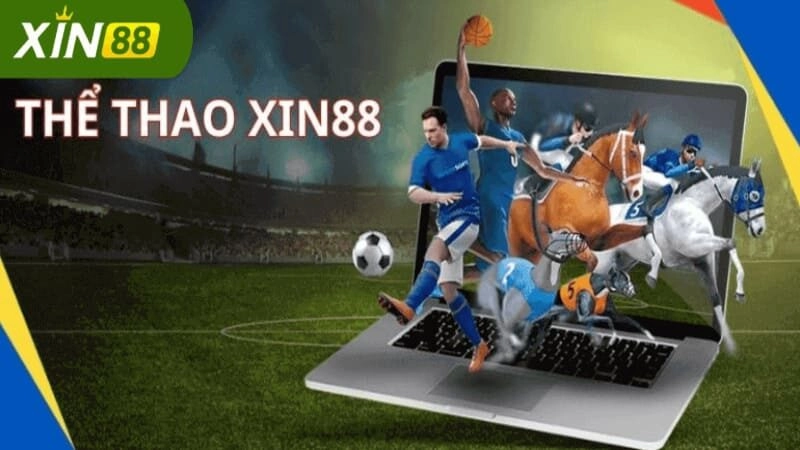 Giới thiệu chung vềThể Thao Xin88