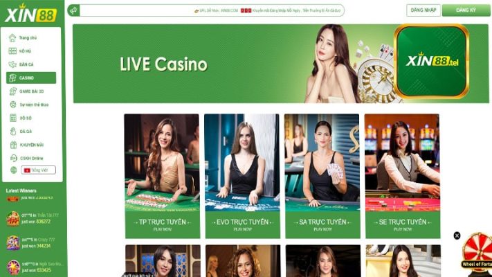 Tổng quan về Live Casino Xin88