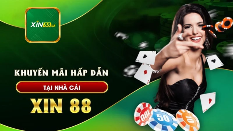 Tổng quan về nhà cái Xin88