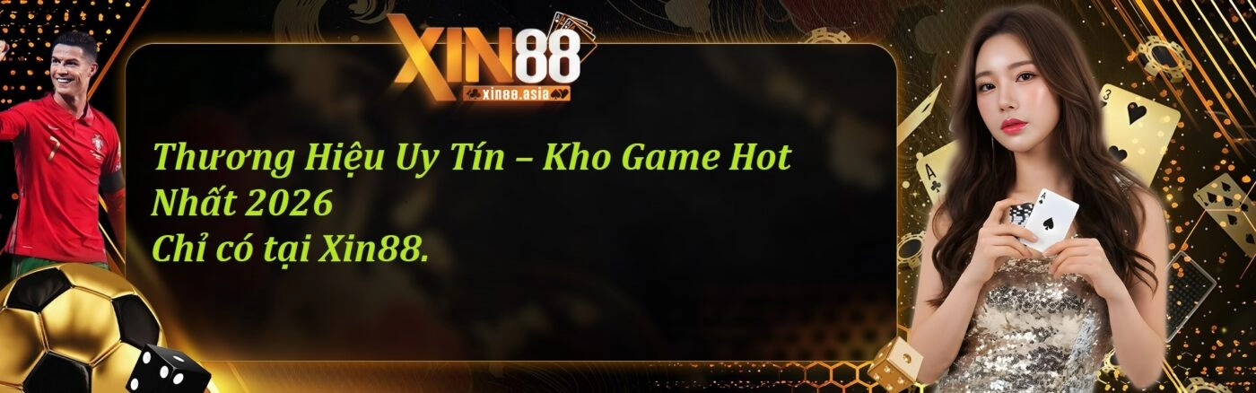 banner_xin88-2