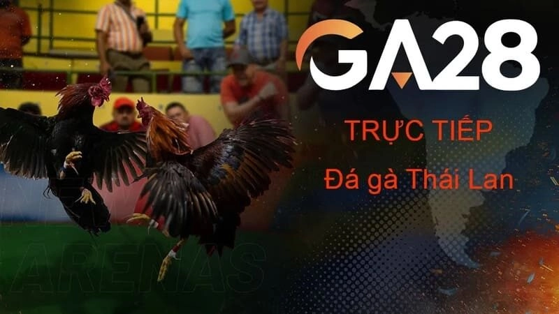 Lý do nên chọn GA28